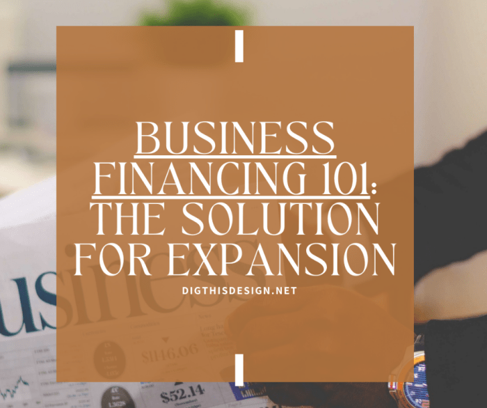 International Business Extension Comparing Debt Funding Sources For ...